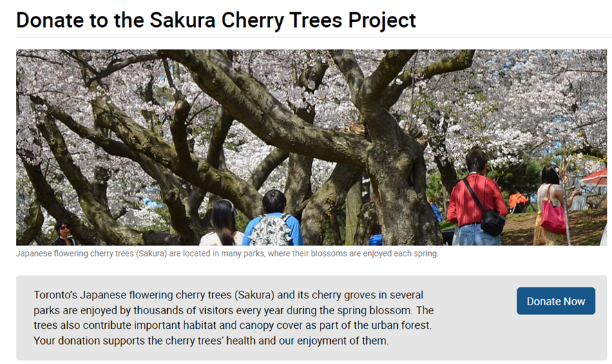 サクラ募金サイト