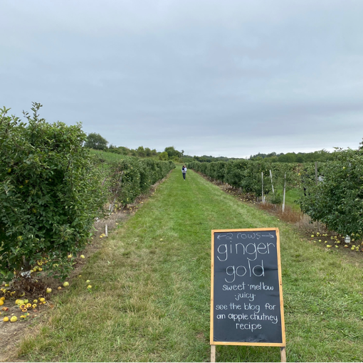 Carl Laidlaw Orchards