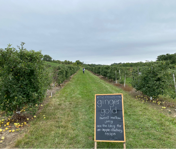 Carl Laidlaw Orchards