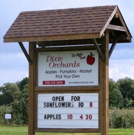 apple farm